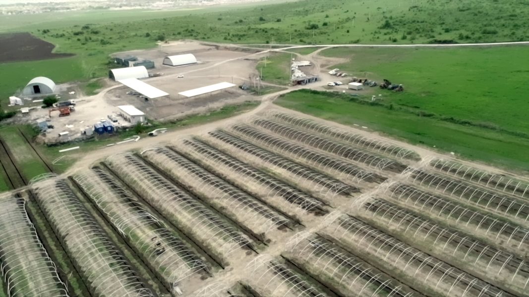 «Строительство комплекса по выращиванию овощной и растениеводческой продукции в открытом и защищенном грунте»